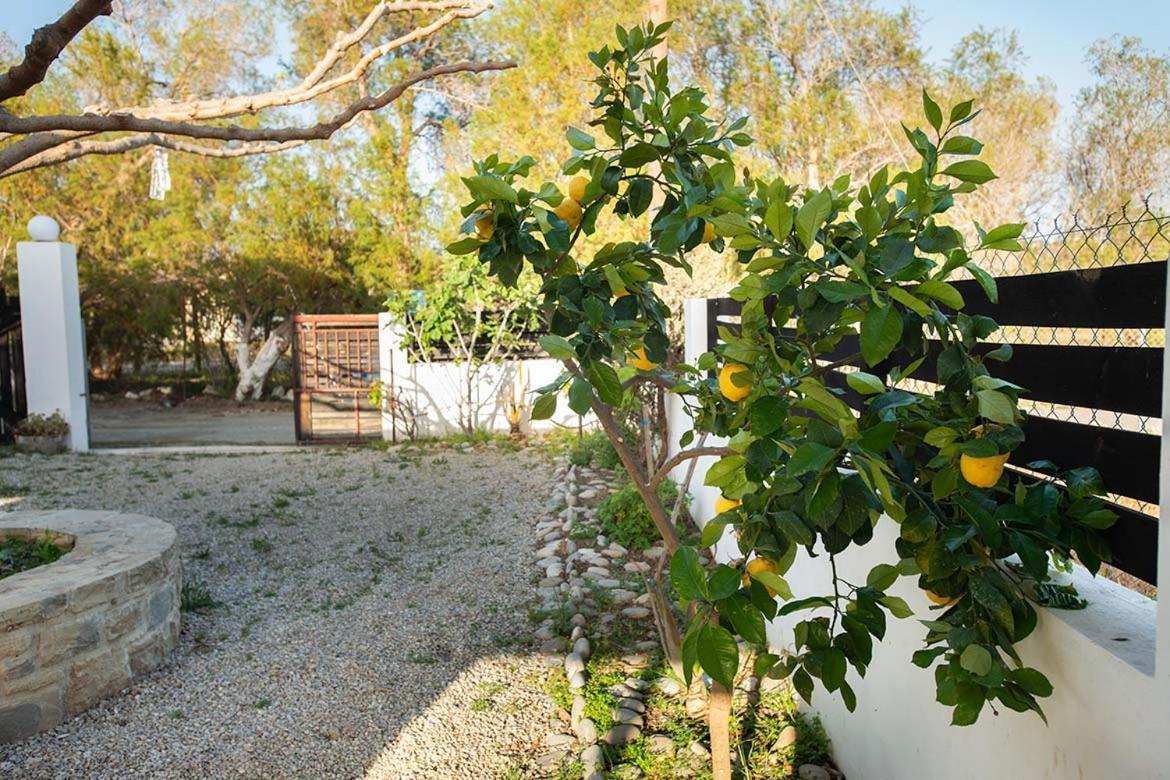 Afrathias Beachhouse - Cretan Hideaway Kalamaki  Eksteriør bilde